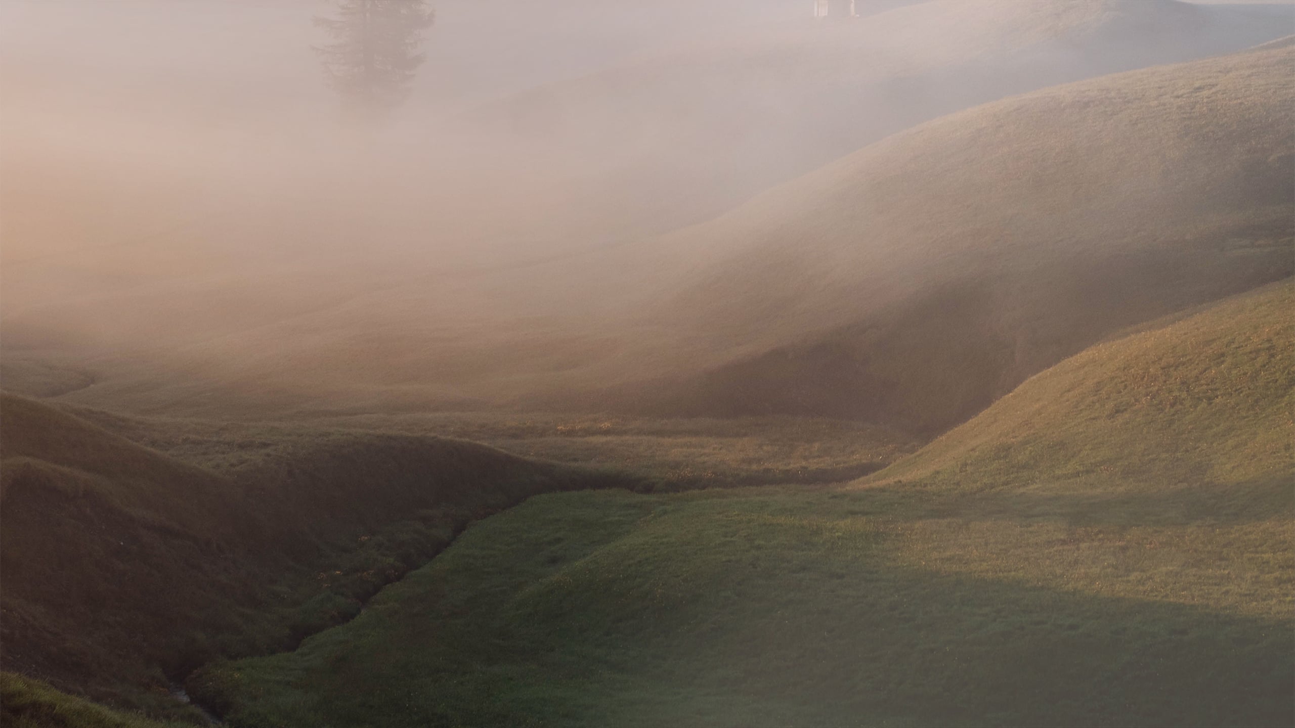 How it works section background desktop